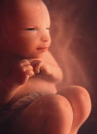 Legaten & Giften in Praktijk: Legs & Dons en Pratique: www.leg ten.be  www.legs-do