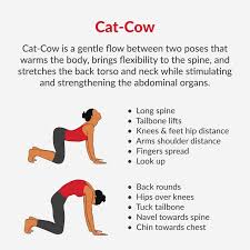 Moo cow print cat collar with utter pink safety buckle and black bell + more options. Five Yoga Poses To Try At Home