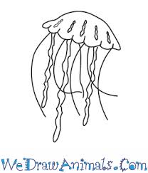 Step by step drawing.drawings for kids.drawing for beginners.toddler coloring page.kawaii drawing. How To Draw A Jellyfish