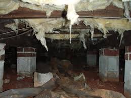 Cockroaches prefer to live in dark and moist areas and will spend much of their time hiding away. Preferred Pest Termite Turf Home Facebook