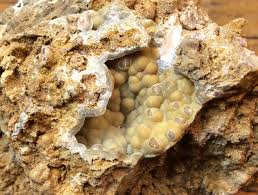 See more of camel collector on facebook. Apatite Mineral Information Data And Localities