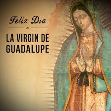 We did not find results for: Feliz Dia De La Virgen De Guadalupe Imagenes For Android Apk Download