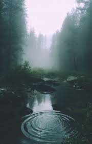 Dark Nature Aesthetic Explore Tumblr Posts And Blogs Tumgir Poslednie tvity ot dark academia aesthetic (@thedarkacademia). dark nature aesthetic explore tumblr