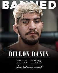 You will never see Dillon Danis at a UFC fight ever again,” Dana White said  at the post-fight press conference #ufc322 #ufc #mma #dillondanis #brawl  #islammakhachev #johnpork