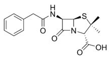 La famille de pénicilline représente un des groupes d'antibiotiques les plus précieux dans pratiquement chaque endroit de santé moderne. Penicilline Wikipedia