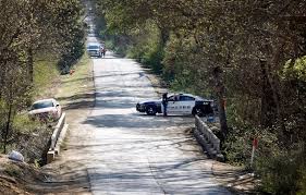 Parents of 14-year-old girl wounded at Dallas outdoor concert sue property  owner, artists