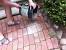 Polymeric Sand Joints