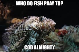 Funny Fish Puns Memes And Fishing One Liners Nano Reef Adviser