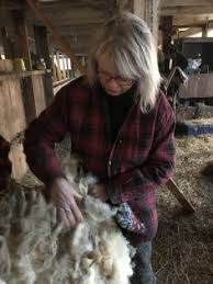 Échos des boursiers et des boursières de l'Entente de partenariat  territorial en lien avec la collectivité de l'Estrie 2022