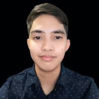 40+ "Vincent Bello" profiles