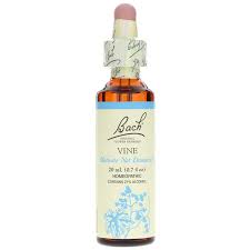 Flower essences provide strong support to help you break addictions. Vine Flower Essence Bach Flower Remedies