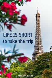 I shook my family tree and a bunch of (coco)nuts fell out. Best Family Travel Quotes To Inspire Wanderlust Trip Chiefs