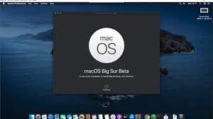 Monterey 12, big sur 11, catalina 10.15. How To Download Macos Big Sur Beta Without Developer Account Manjaro Dot Site