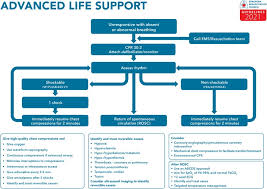 Setelah itu kalian klik samping berita yaitu unduhan, apabila sudah maka selanjutnya klik data prefil. European Resuscitation Council Guidelines 2021 Executive Summary Sciencedirect