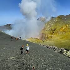 Image result for Isoglossa vulcanicola