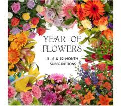 We did not find results for: Flower Subscription 3 6 Or 12 Months In Evanston Il Preston S Flowers