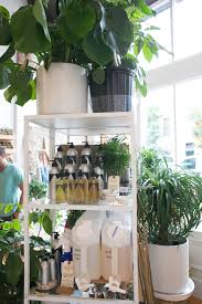 The Zen Succulent Plant Shop Plants Planting Succulents Modern Terrarium