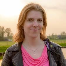 Developer Reference (76 book series) Kindle edition