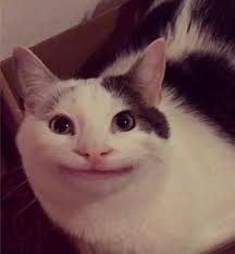 Me Siento Un Poco Incomoda Al Verlo Gambar Lucu Lucu Gambar