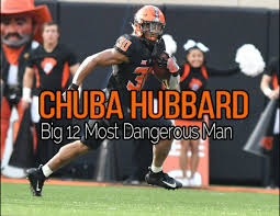 Image result for Hubbardochloa