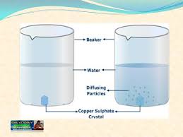 If large crystals are used, these should be ground down before use by students. Sonu Academy Diffusion Text