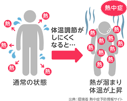 フリー百科事典『ウィキペディア（wikipedia）』 (2020/12/12 16:32 utc 版) 熱放射（ねつほうしゃ、英: ã—ã¤ã©ã‚³ãƒ³ãƒˆãƒ­ãƒ¼ãƒ«ã§ç†±ä¸­ç—‡å¯¾ç­– ãƒ€ã‚¤ã‚­ãƒ³å·¥æ¥­æ ªå¼ä¼šç¤¾