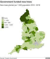 Climate Change Tree Planting Rise Needs To Happen Quickly