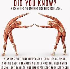 Pin On Exercise
