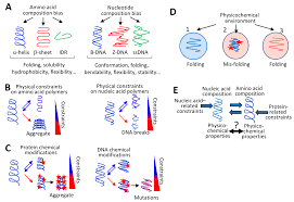 Maybe you would like to learn more about one of these? Life Free Full Text Physicochemical Foundations Of Life That Direct Evolution Chance And Natural Selection Are Not Evolutionary Driving Forces Html