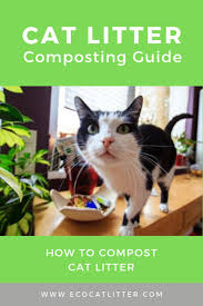 The top countries of supplier is china, from which the. How To Compost Cat Litter Eco Cat Litter