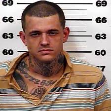 Man accused of breaking wife's back indicted