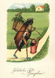 Epingle Sur Les Animaux En Reve Et Ce Qui S Y Rapporte Cris Accessoires Habitat