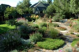 Saving water is essential, and this method is when working out how to do xeriscape landscaping, establishing the amount of water needed is vital. Here S What You Need To Know About Xeriscape Yardzen Online Landscape Design