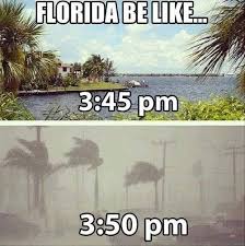 23 Things Everyone Who Lives In Florida Will Understand Funny Pictures Funny P Bones Funny