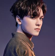 vers before dawn, seventeen and vernon