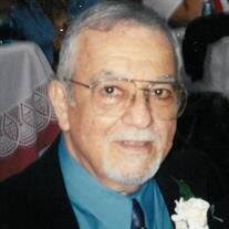 Michael Lewis Seitelman Obituary