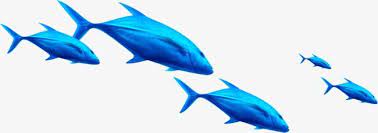 Black And Blue Futuristic Ai Launch Shoal Of Fish Baby Art Blue Ocean