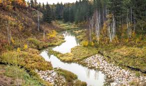 Climate Leadership Conference 2024