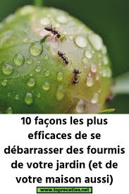 Epingle Sur Jardinage