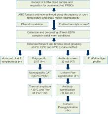 Abo Blood Group Flow Chart Www Bedowntowndaytona Com