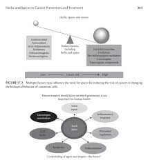 Bioness Personal Trainer Studio Ervas Na Prevencao E Tratamento Do Cancer Fonte Herbal Medicine Biomolecular And Clinical Aspects Facebook