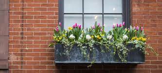See more ideas about window boxes, window box, window box flowers. What Can You Grow In Window Boxes Fantastic Gardeners Blog