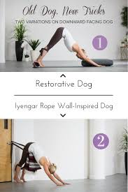 Old Dog New Tricks Two Variations On Downward Facing Dog Downward Facing Dog Yoga Help Yoga For Balance