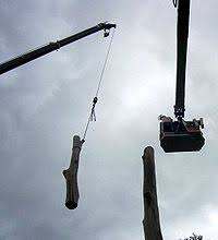 Arborist certification study guide free education degrees, courses structure, learning courses. Arborist Wikipedia
