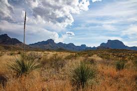 Maybe you would like to learn more about one of these? Which Big Bend Texas Co Op Power