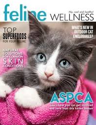 So, how many strawberries does your cat can eat? Aspca Aspca Profile Pinterest