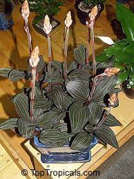 We did not find results for: Pin Auf Container Gardening
