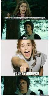 Harry Potter Meme Google Suche Harry Potter Jokes Harry Potter Memes Hilarious Harry Potter Memes