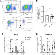 It helps in carrying out the functions such as respiration, nutrition, digestion, excretion etc. Mucosal Associated Invariant T Mait Cells Mediate Protective Host Responses In Sepsis Elife