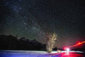 Image result for Dark Antelope 1992 Saturn